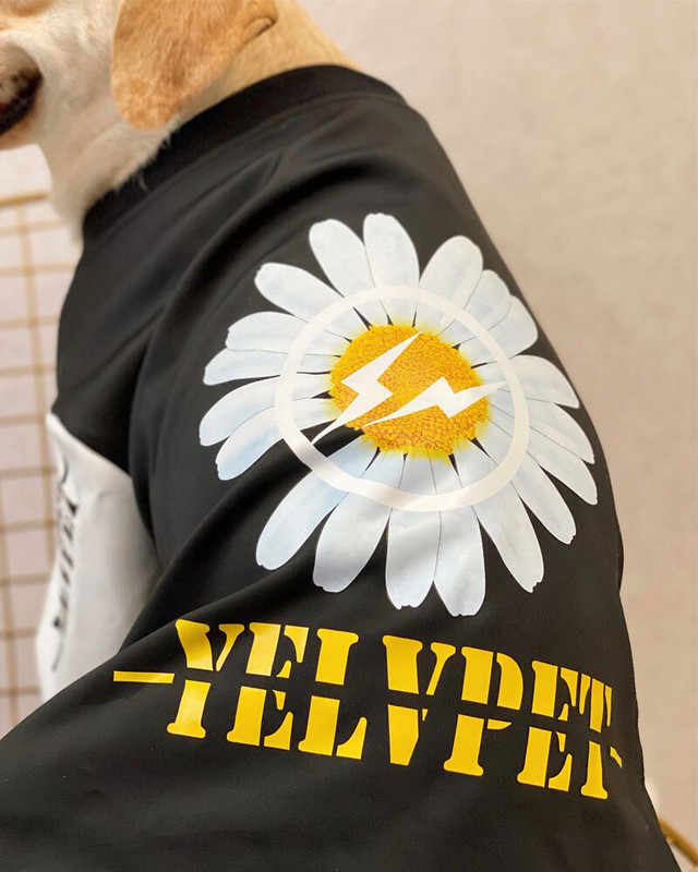 Dideli šunų drabužiai rudens ir žiemos šunų beisbolo uniforma oro medvilninis šuns paltas Labradoro dobermano šunų striukė šunų priedai