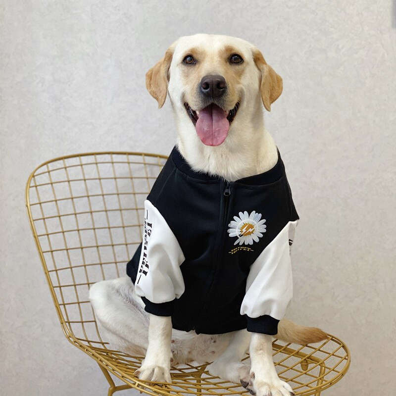 Dideli šunų drabužiai rudens ir žiemos šunų beisbolo uniforma oro medvilninis šuns paltas Labradoro dobermano šunų striukė šunų priedai