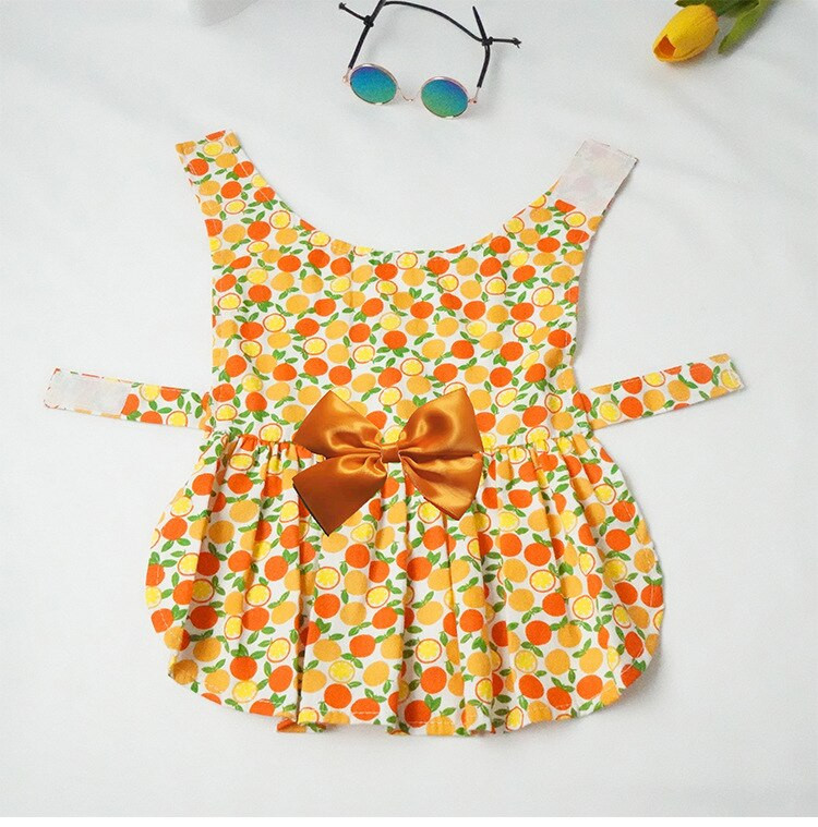 Tüdrukute riided koertele Kassiriided Lemmikloomakoerte riided Suveriided Suvine kleit koertele Koerariided Kutsika riided 2022