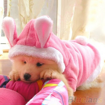 Домашно куче, котки, сладко суичър, зайче, дрехи, зимни топли костюми за кученца, облекло