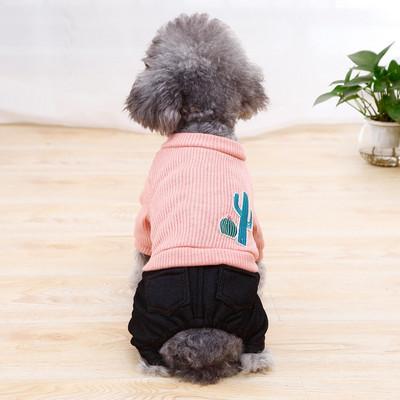 Moodne tikitud mustriga lemmikloomaülikond Kootud jope pluss teksad Šnautser riided Kevad- ja sügisesed lemmikloomariided