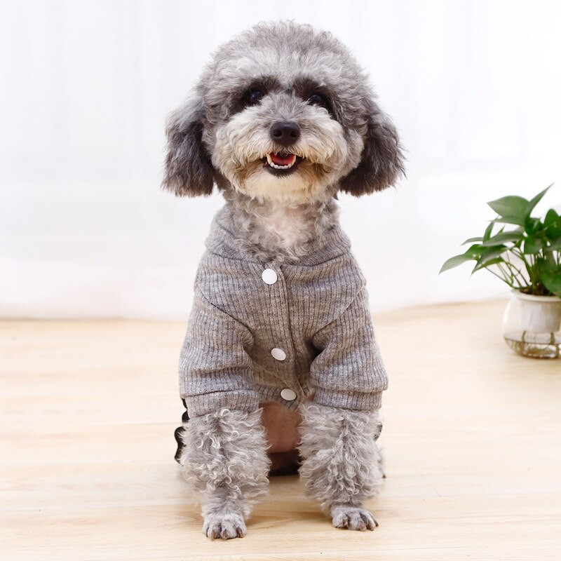 Moodne tikitud mustriga lemmikloomaülikond Kootud jope pluss teksad Šnautser riided Kevad- ja sügisesed lemmikloomariided