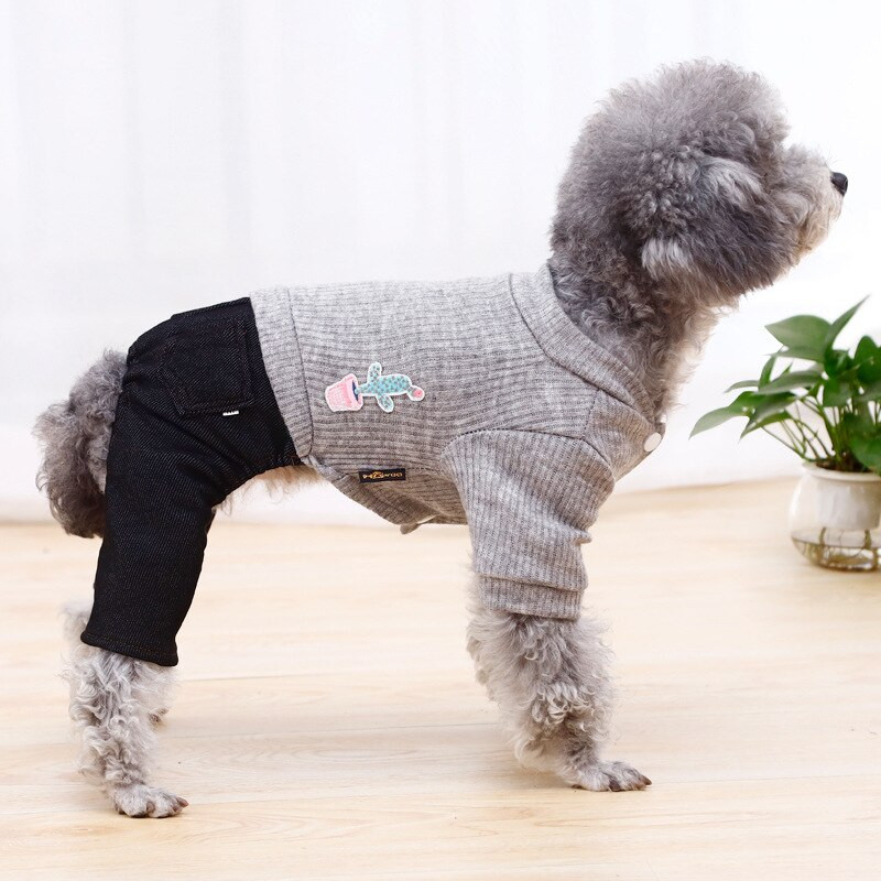 Moodne tikitud mustriga lemmikloomaülikond Kootud jope pluss teksad Šnautser riided Kevad- ja sügisesed lemmikloomariided