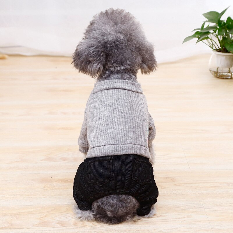 Moodne tikitud mustriga lemmikloomaülikond Kootud jope pluss teksad Šnautser riided Kevad- ja sügisesed lemmikloomariided