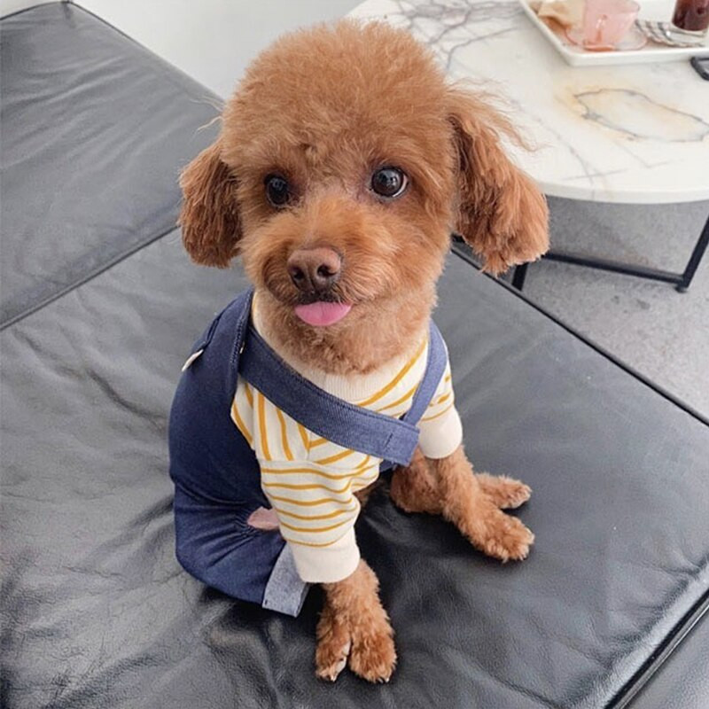 Dvodijelna odjeća za pse na vrpcu Jesensko štene Četveronožna odjeća Teddy Topli kombinezoni mekši od pulovera s medvjedićima XS-XL