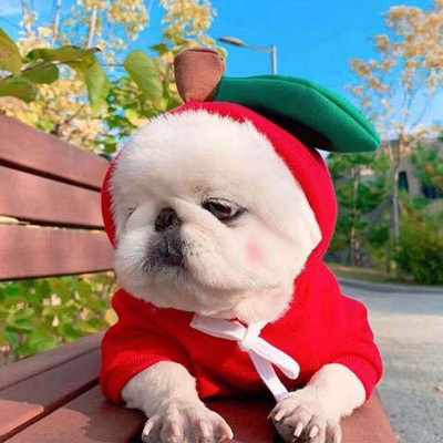 Roztomilé ovocné oblečenie pre psov pre malých psov, mikiny s kapucňou, teplé flísové oblečenie pre domáce zvieratá, kostým pre šteniatka a mačky, kabát pre šteniatka, bunda, oblek