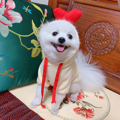 Roztomilé ovocné oblečenie pre psov pre malých psov, mikiny s kapucňou, teplé flísové oblečenie pre domáce zvieratá, kostým pre šteniatka a mačky, kabát pre šteniatka, bunda, oblek