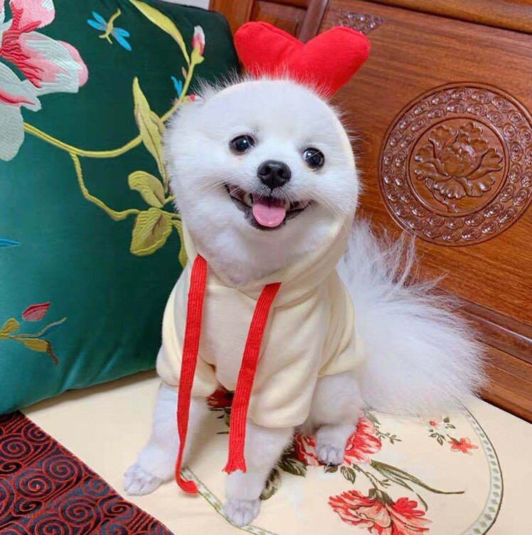 Roztomilé ovocné oblečenie pre psov pre malých psov, mikiny s kapucňou, teplé flísové oblečenie pre domáce zvieratá, kostým pre šteniatka a mačky, kabát pre šteniatka, bunda, oblek