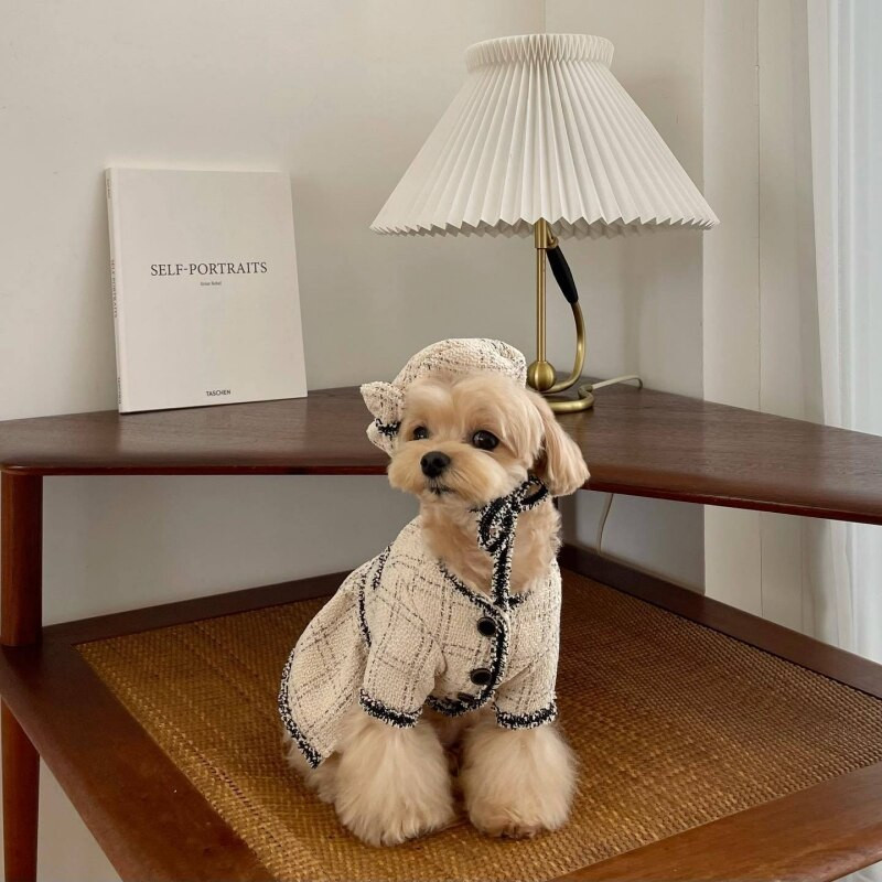 Móda pre psov Šaty Oblečenie pre domácich miláčikov Psí maškarný kostým Zimné oblečenie pre psov Vianočné oblečenie pre psov Položky pre domáce zvieratá Oblečenie pre psov v westernovom štýle