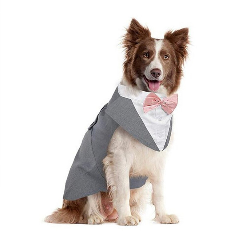 Koera smokingi ülikonna ja bandaani komplekt