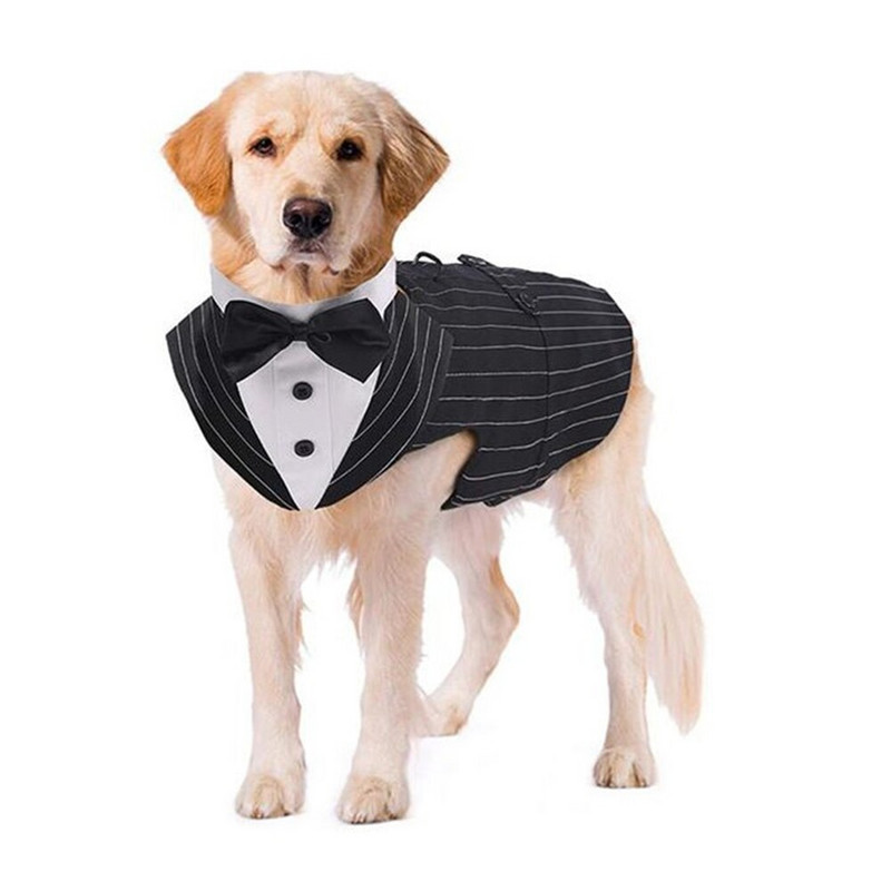 Koera smokingi ülikonna ja bandaani komplekt