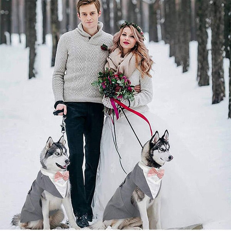 Koera smokingi ülikonna ja bandaani komplekt