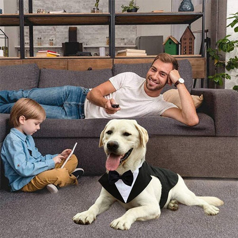 Koera smokingi ülikonna ja bandaani komplekt