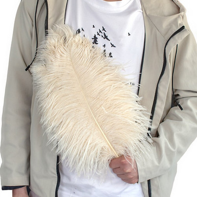 10vnt/part Natūralios odos Rožinės Stručio plunksnos amatams Vestuvių dekoravimas Stručio stalo centrinės detalės Plumas Decor