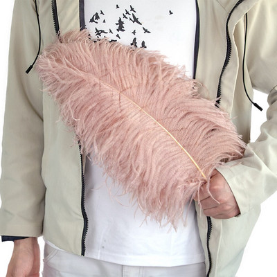 10vnt/part Natūralios odos Rožinės Stručio plunksnos amatams Vestuvių dekoravimas Stručio stalo centrinės detalės Plumas Decor