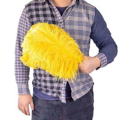 10vnt/part Natūralios odos Rožinės Stručio plunksnos amatams Vestuvių dekoravimas Stručio stalo centrinės detalės Plumas Decor