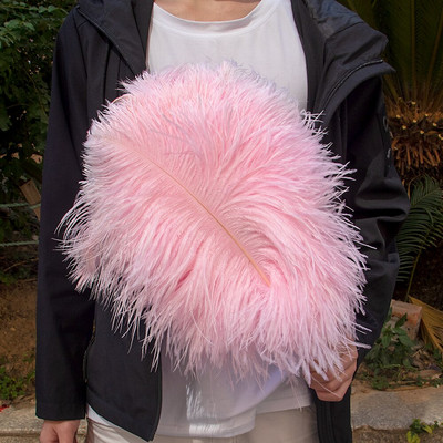 10vnt/part Natūralios odos Rožinės Stručio plunksnos amatams Vestuvių dekoravimas Stručio stalo centrinės detalės Plumas Decor