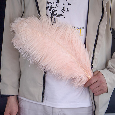 10vnt/part Natūralios odos Rožinės Stručio plunksnos amatams Vestuvių dekoravimas Stručio stalo centrinės detalės Plumas Decor