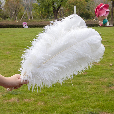 10 τεμ/παρτίδα Λευκά φτερά στρουθοκαμήλου για διακόσμηση γαμήλιου πάρτι Craft Plumes Επιτραπέζια Centpiece Αξεσουάρ Plumas Χονδρική