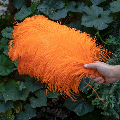 10 vnt./stal. Baltos stručio plunksnos, skirtos vestuvių vakarėliui papuošti Amatai Plunksnos Stalo šimtmečio priedai Plumas Didmeninė prekyba