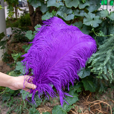 10 vnt./stal. Baltos stručio plunksnos, skirtos vestuvių vakarėliui papuošti Amatai Plunksnos Stalo šimtmečio priedai Plumas Didmeninė prekyba