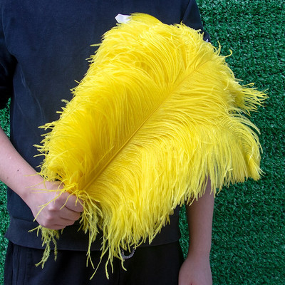 10 vnt./stal. Baltos stručio plunksnos, skirtos vestuvių vakarėliui papuošti Amatai Plunksnos Stalo šimtmečio priedai Plumas Didmeninė prekyba