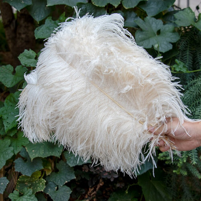 10 vnt./stal. Baltos stručio plunksnos, skirtos vestuvių vakarėliui papuošti Amatai Plunksnos Stalo šimtmečio priedai Plumas Didmeninė prekyba