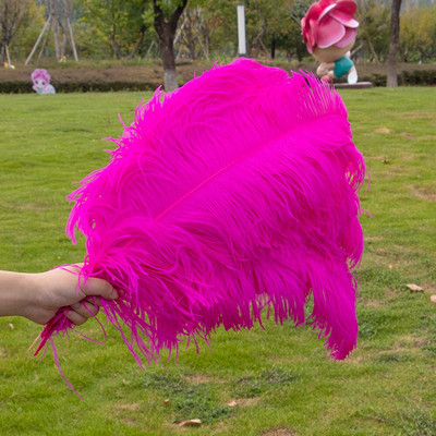 10 vnt./stal. Baltos stručio plunksnos, skirtos vestuvių vakarėliui papuošti Amatai Plunksnos Stalo šimtmečio priedai Plumas Didmeninė prekyba