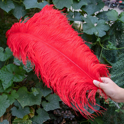 10 vnt./stal. Baltos stručio plunksnos, skirtos vestuvių vakarėliui papuošti Amatai Plunksnos Stalo šimtmečio priedai Plumas Didmeninė prekyba