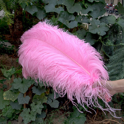 10 vnt./stal. Baltos stručio plunksnos, skirtos vestuvių vakarėliui papuošti Amatai Plunksnos Stalo šimtmečio priedai Plumas Didmeninė prekyba