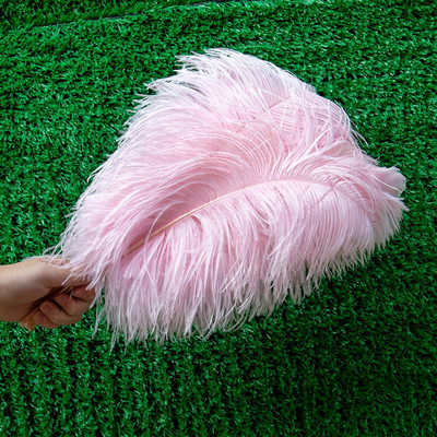 10 vnt./stal. Baltos stručio plunksnos, skirtos vestuvių vakarėliui papuošti Amatai Plunksnos Stalo šimtmečio priedai Plumas Didmeninė prekyba