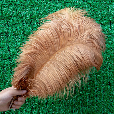 10 vnt./stal. Baltos stručio plunksnos, skirtos vestuvių vakarėliui papuošti Amatai Plunksnos Stalo šimtmečio priedai Plumas Didmeninė prekyba