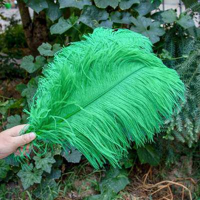 10 vnt./stal. Baltos stručio plunksnos, skirtos vestuvių vakarėliui papuošti Amatai Plunksnos Stalo šimtmečio priedai Plumas Didmeninė prekyba