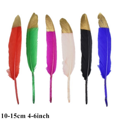 Πολλά είδη Πολύχρωμοι συνδυασμοί Φτερά στρουθοκαμήλου Χήνα Χειροτεχνία Κοτόπουλο φασιανό Γαλοπούλα Φτερό παγωνιού Αξεσουάρ χειροτεχνίας