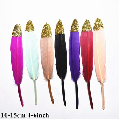 Πολλά είδη Πολύχρωμοι συνδυασμοί Φτερά στρουθοκαμήλου Χήνα Χειροτεχνία Κοτόπουλο φασιανό Γαλοπούλα Φτερό παγωνιού Αξεσουάρ χειροτεχνίας