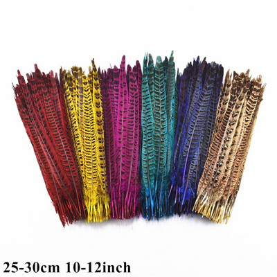 Πολλά είδη Πολύχρωμοι συνδυασμοί Φτερά στρουθοκαμήλου Χήνα Χειροτεχνία Κοτόπουλο φασιανό Γαλοπούλα Φτερό παγωνιού Αξεσουάρ χειροτεχνίας