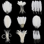 20 τμχ Φτερά λευκού φασιανού για χειροτεχνίες Φυσικό φτερό στρουθοκαμήλου Χήνα Τουρκία Plumes Dream Catcher Αξεσουάρ DIY διακόσμηση γάμου