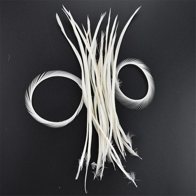 20 τμχ Φτερά λευκού φασιανού για χειροτεχνίες Φυσικό φτερό στρουθοκαμήλου Χήνα Τουρκία Plumes Dream Catcher Αξεσουάρ DIY διακόσμηση γάμου