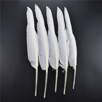 20 τμχ Φτερά λευκού φασιανού για χειροτεχνίες Φυσικό φτερό στρουθοκαμήλου Χήνα Τουρκία Plumes Dream Catcher Αξεσουάρ DIY διακόσμηση γάμου
