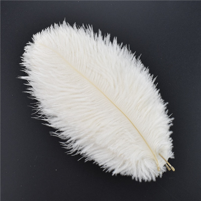 20 τμχ Φτερά λευκού φασιανού για χειροτεχνίες Φυσικό φτερό στρουθοκαμήλου Χήνα Τουρκία Plumes Dream Catcher Αξεσουάρ DIY διακόσμηση γάμου