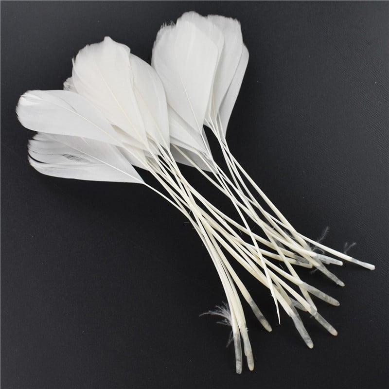 20 τμχ Φτερά λευκού φασιανού για χειροτεχνίες Φυσικό φτερό στρουθοκαμήλου Χήνα Τουρκία Plumes Dream Catcher Αξεσουάρ DIY διακόσμηση γάμου