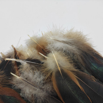 20/100τμχ Natural Crafts Feathers Plume Wedding Party Decor DIY Έγχρωμα Φτερά κόκορα Κοσμήματα Κατασκευή Αξεσουάρ Μαλλιών 13-18cm