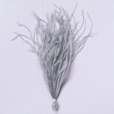 1 δέσμη φτερά στρουθοκαμήλου με νήμα βαμμένα πολύχρωμα 10-15/15-18 εκ. χνουδωτά λοφία για διακόσμηση τσάντας ρούχων Χειροτεχνία ραπτικής