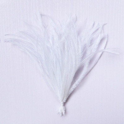 1 δέσμη φτερά στρουθοκαμήλου με νήμα βαμμένα πολύχρωμα 10-15/15-18 εκ. χνουδωτά λοφία για διακόσμηση τσάντας ρούχων Χειροτεχνία ραπτικής