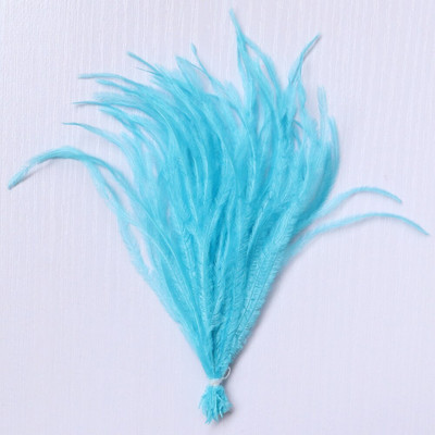 1 δέσμη φτερά στρουθοκαμήλου με νήμα βαμμένα πολύχρωμα 10-15/15-18 εκ. χνουδωτά λοφία για διακόσμηση τσάντας ρούχων Χειροτεχνία ραπτικής