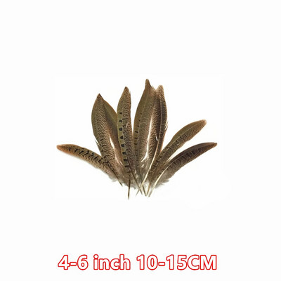Χονδρική 10-75 εκ. 4-30" Φυσικά φτερά φασιανής ουράς για χειροτεχνίες Διακοσμήσεις γάμου Φτερά φασιανού καρναβαλιού