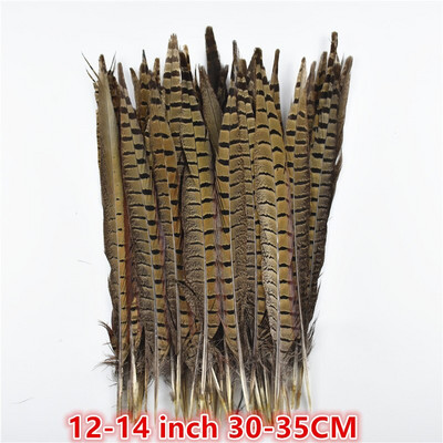 Χονδρική 10-75 εκ. 4-30" Φυσικά φτερά φασιανής ουράς για χειροτεχνίες Διακοσμήσεις γάμου Φτερά φασιανού καρναβαλιού