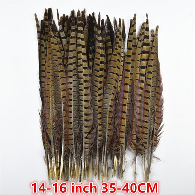 Χονδρική 10-75 εκ. 4-30" Φυσικά φτερά φασιανής ουράς για χειροτεχνίες Διακοσμήσεις γάμου Φτερά φασιανού καρναβαλιού