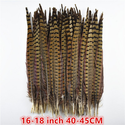 Χονδρική 10-75 εκ. 4-30" Φυσικά φτερά φασιανής ουράς για χειροτεχνίες Διακοσμήσεις γάμου Φτερά φασιανού καρναβαλιού