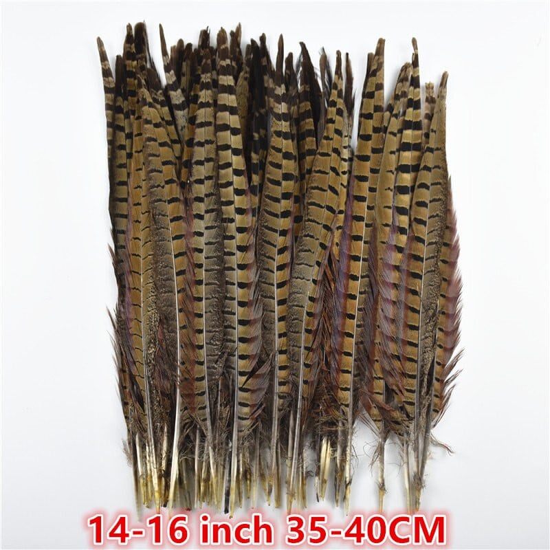 Χονδρική 10-75 εκ. 4-30" Φυσικά φτερά φασιανής ουράς για χειροτεχνίες Διακοσμήσεις γάμου Φτερά φασιανού καρναβαλιού